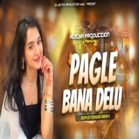 Pagle Bana Delu (EDM Extended Mix) DJ Aditya Production Mau